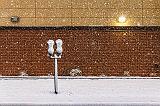 Late April Snow_23391-2